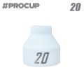 procup 20 old.jpg